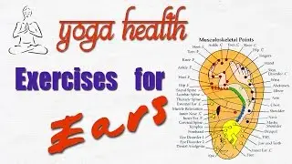 Yoga Exercises for Ears and Better Hearing - Yoga Health with HPLN