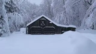 Falling Snow | Relaxing Snowfall Sounds | Blizzard |Snow Covered Barn | Mountain Forest | Sleep Aid