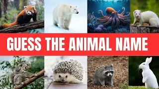Guess The Animal Name in 5 Seconds - Guess 50 Animals (QUIZ FLUX)
