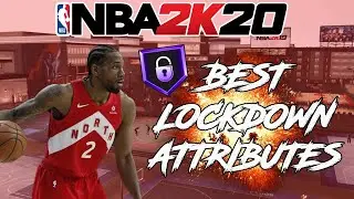 How to DOMINATE as a Rebounding Wing! Best BADGES ATTRIBUTES & ANIMATIONS! Rarest Build on NBA2K20