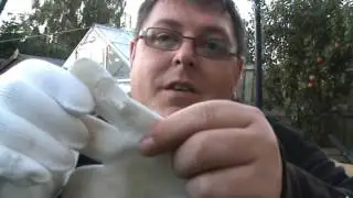 heat proof gloves from Ebay 001