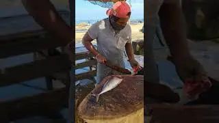 Huge Skipjack Tuna Cutting Skills | Mr. Sampath