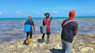 Spot gacorr casting pinggiran karang dangkal (natuna)