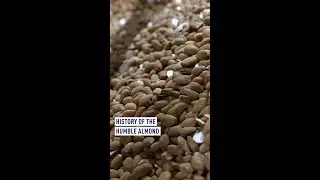 History of the humble almond