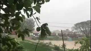 YAAS Cyclone live Footage | Cyclone Yaas Live Updates from Odisha | Cyclone Yash live video Dhamra