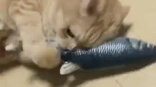USB Rechargeable Catnip Fish Toy For Cats