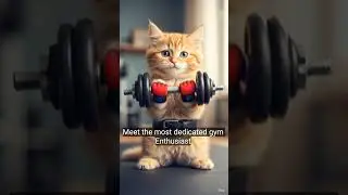 Be like this kitten in 2026! #motivation #protein #motivation #fitness #2026 #instamuscle #muscle
