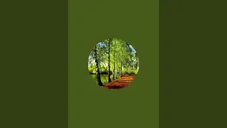 обычная жизнь. Стрим. Продолжение