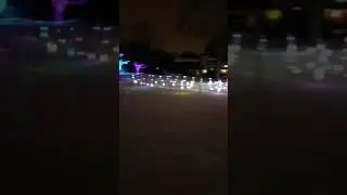 Zoo wild lights