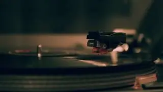 Affektion   Laroz Tizer