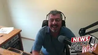 Weird Wire: TikTok Travel Fail, Kevin the Pigeon Rescue, and 100-Year Baby Girl | Paskvan Podcasts