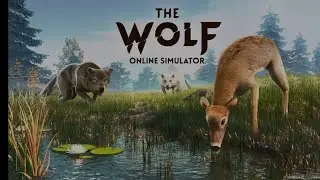 The Wolf - Online RPG Simulator Gameplay by Multi Future Gamer Live 2