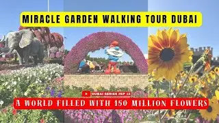 Get a Tour of Miracle Garden, Dubai's Floral Wonderland I Ep 15 @HWTAL