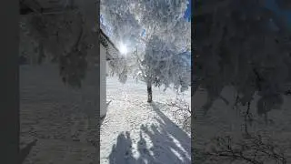 Snow in Switzerland #snow #beautiful #magic #switzerland #inspiration