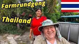 Farmrundgang mit unseren Rottweilern 🐕🌴Echtes Farmleben &ndash; Hunde, Teich, Pflanzen-R&auml;tsel gel&ouml;st!
