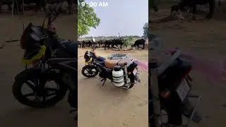 Mini Vlog ⚜️✅  / #vlog #minivlog #np_farm #youtube #shorts #viral #vlogs #daylivlog