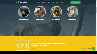 Worldlife - Nonprofit and Charity WordPress theme donate ahope Build Website