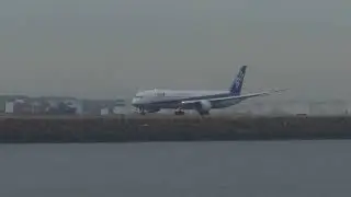 All Nippon Airways Taking off from Sydney Airport