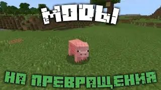 ОБЗОР МОДА Metamorph #MINECRAFT