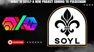 What Is SOYL Energy: A New Project Launching On PulseChain