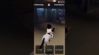 the best jumping ever #roblox#Equest testing