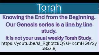 Torah Study