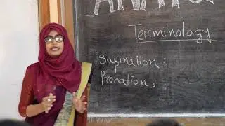 নাটক 