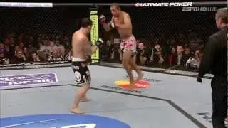 UFC 156 Jose Aldo vs  Frankie Edgar