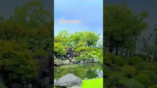 C&aacute;ch người Nhật bố tr&iacute; s&acirc;n vườn! #torrigarden #tunglahan #caycanh #cayphongthuy #thinhhanh #bonsai