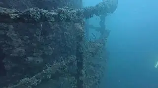 Diving at a Shipwreck in Veracruz, Mexico