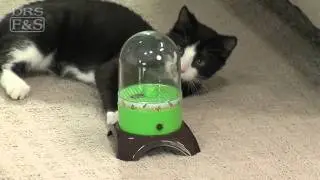Интерактивная игрушка для кошек Ware Flying Fun | DrsFosterSmith.com