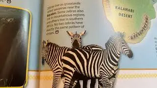 1st Grade Text Study World Atlas Day 3