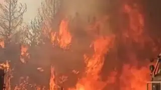 Severe fires in Argentina | Natural disasters today
