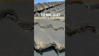 RUFF czysty dach dach&oacute;wka betonowa 2