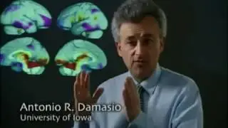 The Secret Life of the Brain (4 of 5) The Adult Brain (2002)