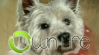Speed Painting 'Charlie' - a West Highland White Terrier