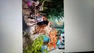 Foto foto👍👍😍😍😄