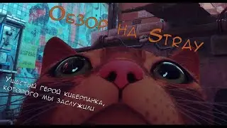 Обзор на Stray. Ушастый герой киберпанка, которого мы заслужили