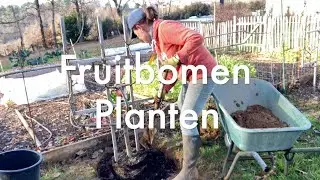 Ini's Moestuin #80 -  Fruitbomen planten in het late najaar en vroege winter, mits vorstvrij.