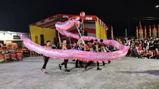 【4KVideo】#柔佛古庙舞龙队 #竞技龙 #舞龙 #DragonDance #TarianNaga #Dragon #JohorAncientTemple【 #龙狮观摩会 #保生大帝 #千秋宝诞】