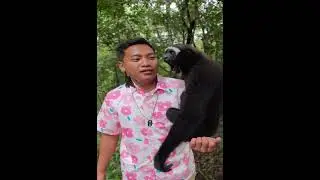 26  Ding Ding and cabbage 20230803