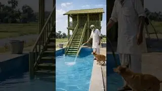 Poor craftsman builds amazing bamboo water house 🏡 #ai #craft #shorts