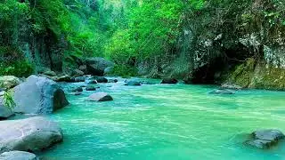 Mindful River Flow – 10 Hours of ASMR Water for Calm & Anxiety Release