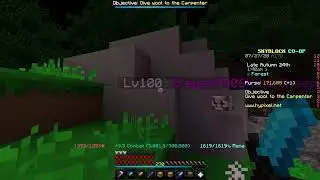 Negative crit damage on skyblock?!