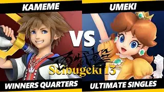 Seibugeki 13 - Kameme (Sora) Vs. Umeki (Daisy) Smash Ultimate - SSBU