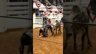 2019 FWSSR rewind #rodeo #bullriding #bullfighter #fwssr