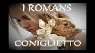 Coniglietto - I Romans covered by vincent