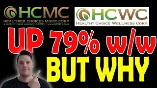Healthier Choices Wellness вырос на 73% по сравнению с прошлым годом | Настоящая причина роста ⚠️...