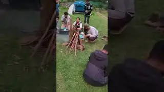 camping with daresgah
