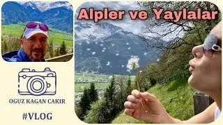 Avusturya&rsquo;da Yaşam | DOĞA TERAPİSİ